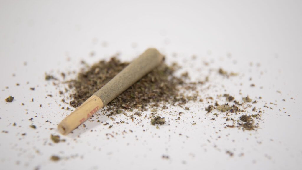 Recent Developments in Medical Cannabis Legalization as of February 2023